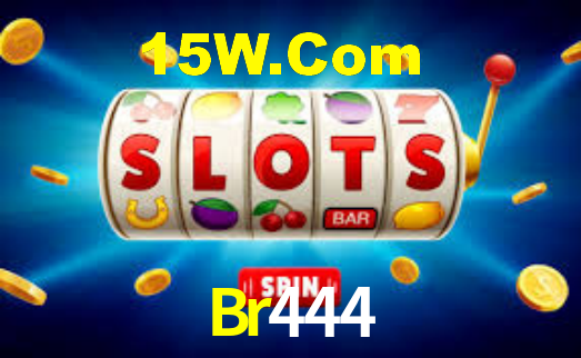 Segurança e privacidade no APP Br444